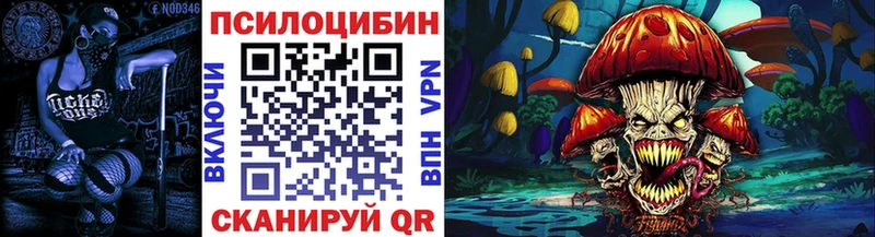 где купить   MEGA ТОР  Псилоцибиновые грибы прущие грибы  Славгород 